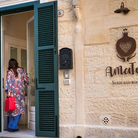 Amate Suite-3